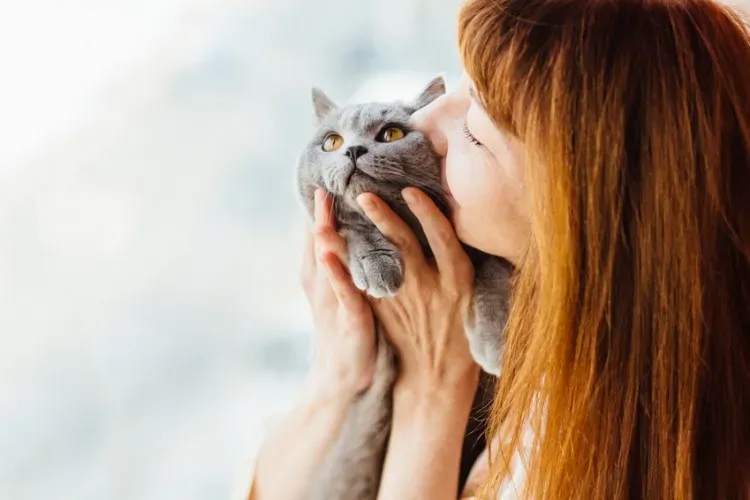 絶対に知るべき猫 ブリーダー 臭い：危険なサインと失敗しない選び方